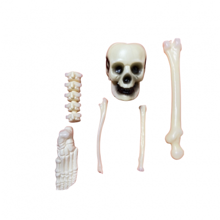 Kit Decorativo com 6 peças - Esqueleto 