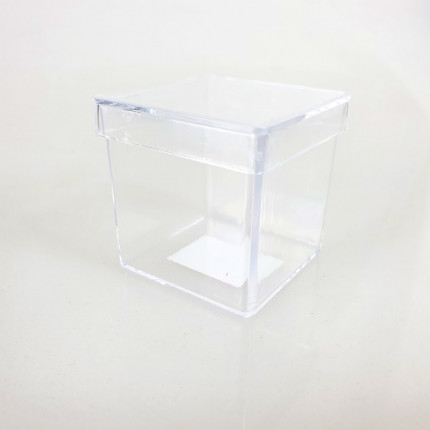 Lembrancinha Caixa Acrilica 5x5 cm Transparente