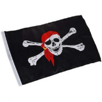 Bandeira Pirata 30x43 cm - 1