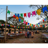 Varal Bandeirola Festa Junina Plástico 