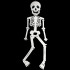 Enfeite Halloween - Esqueleto de Feltro 78 cm - Branco