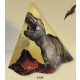 Chapéu Aniversário 16 cm com 8 - Dinossauro